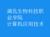 计算机应用技术