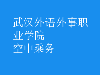 空中乘务