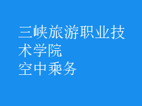 空中乘务