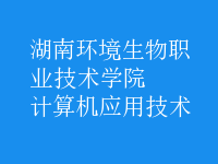 计算机应用技术