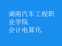 会计电算化