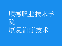 康复治疗技术