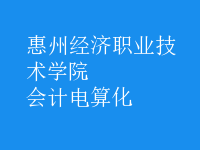 会计电算化