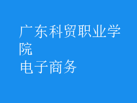 电子商务