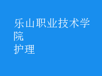护理