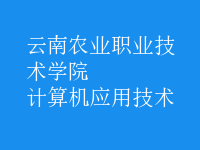计算机应用技术
