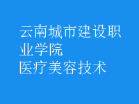 医疗美容技术