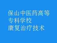 康复治疗技术