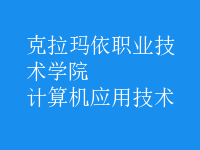 计算机应用技术