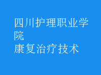 康复治疗技术