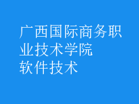 软件技术