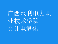 会计电算化