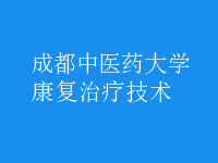 康复治疗技术