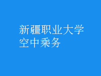 空中乘务
