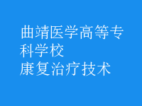 康复治疗技术