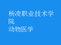 动物医学