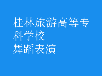 舞蹈表演