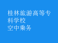 空中乘务
