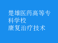 康复治疗技术