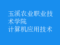 计算机应用技术