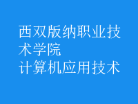 计算机应用技术