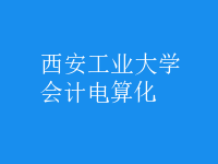 会计电算化