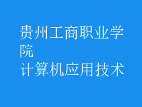 计算机应用技术