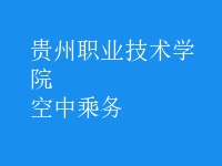 空中乘务