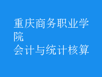 会计与统计核算