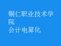 会计电算化