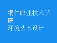 环境艺术设计