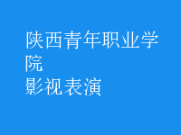 影视表演
