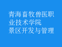 景区开发与管理