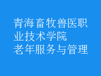 老年服务与管理