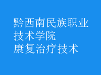 康复治疗技术