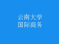 国际商务