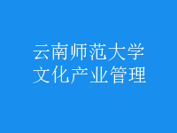 文化产业管理