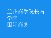 国际商务