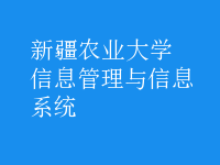 信息管理与信息系统