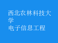 电子信息工程