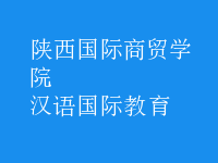 汉语国际教育