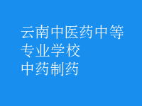 中药制药