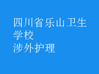 涉外护理