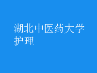 护理
