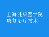 康复治疗技术