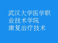 康复治疗技术