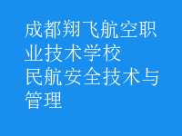 民航安全技术与管理