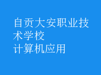 计算机应用