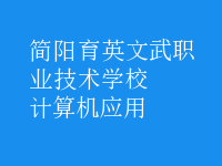 计算机应用