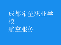 航空服务